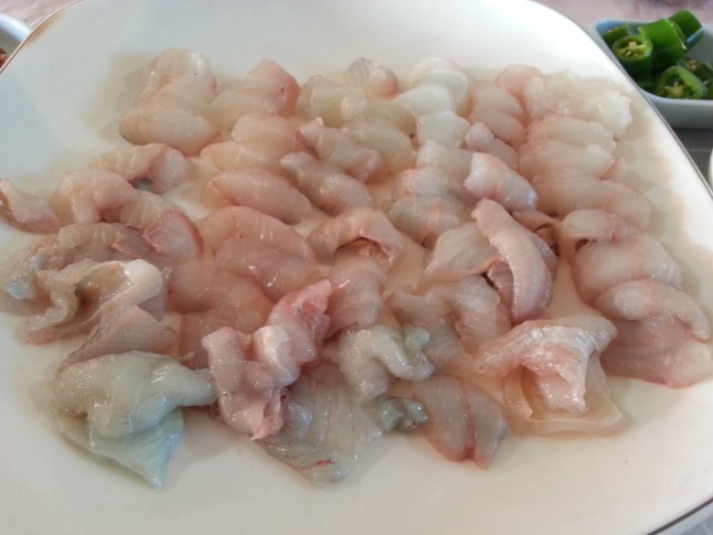 회 사진 회 사진