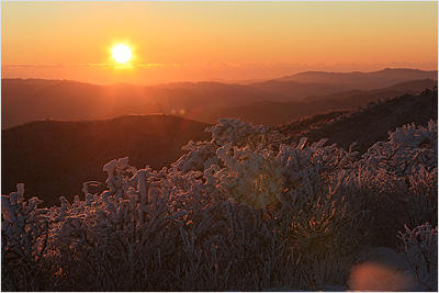 태백에 오르다. - 해질녘 겨울 태백산